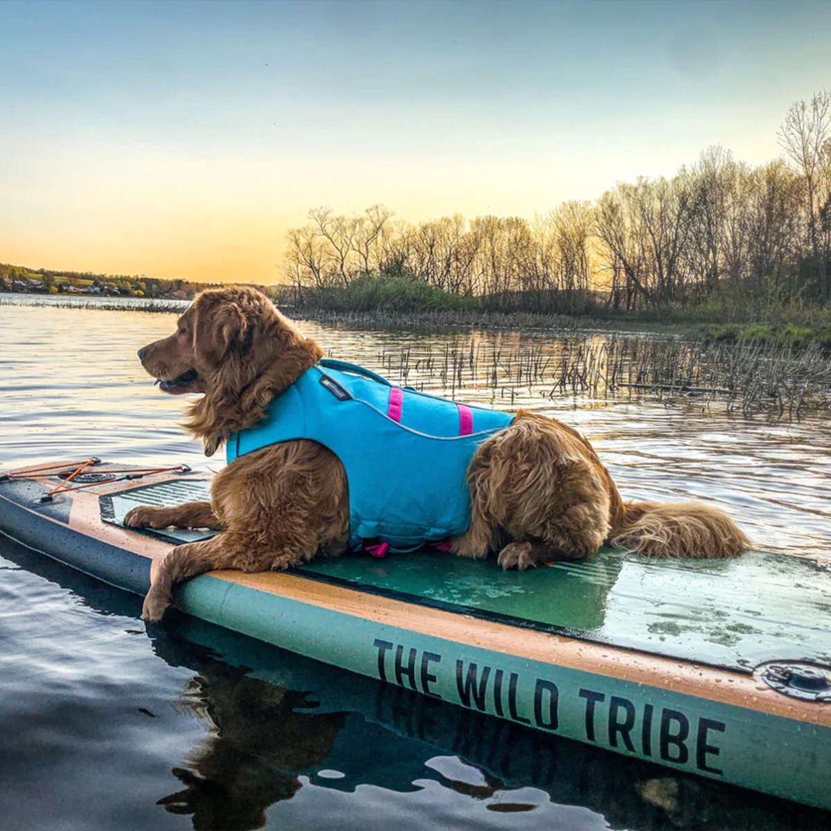 Sequoia XL 11' Green Inflatable Paddle board - The Wild Tribe